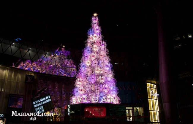 albero bulgari roma 2017